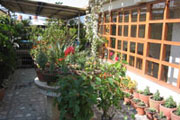 Hotel Norling, Thamel 