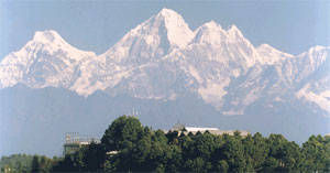 Nepal Starter